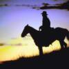 We have GIFT CERTIFICATES available!  Visit our STORE by clicking on "Contact Us" 
Also, read what the media says about us and Cowboy Boot Camp by clicking on "PRESS."

