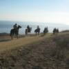 Unwind on a memorable trail ride through the spectacular hills of the Palos Verdes Peninsula in Southern California.  Panoramic ocean views and lush green trails abound as you ride along on your favorite horse.  Click on "TRAIL RIDES" for more information.