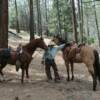 Exclusively for Cowboy Boot Camp members, whether they own a horse or not, are invited to join us on Destination Rides.  A few of the locations where we ride are day trips to the Hollywood Sign, overnight at Caspers Park and up to a week in Sequoia National Forrest.  For info Click on "Trail Rides."